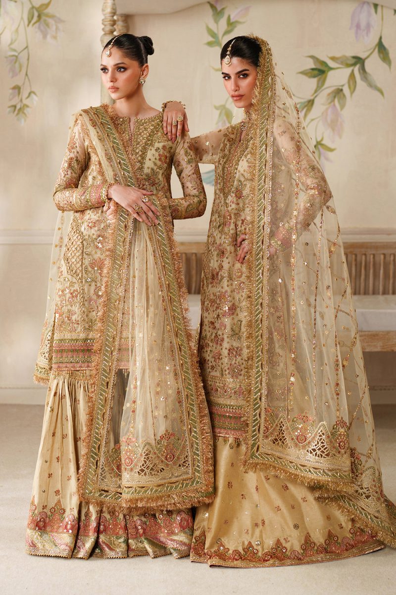 BAROQUE CHANTELLE EMBROIDERED NET CH14-06__1